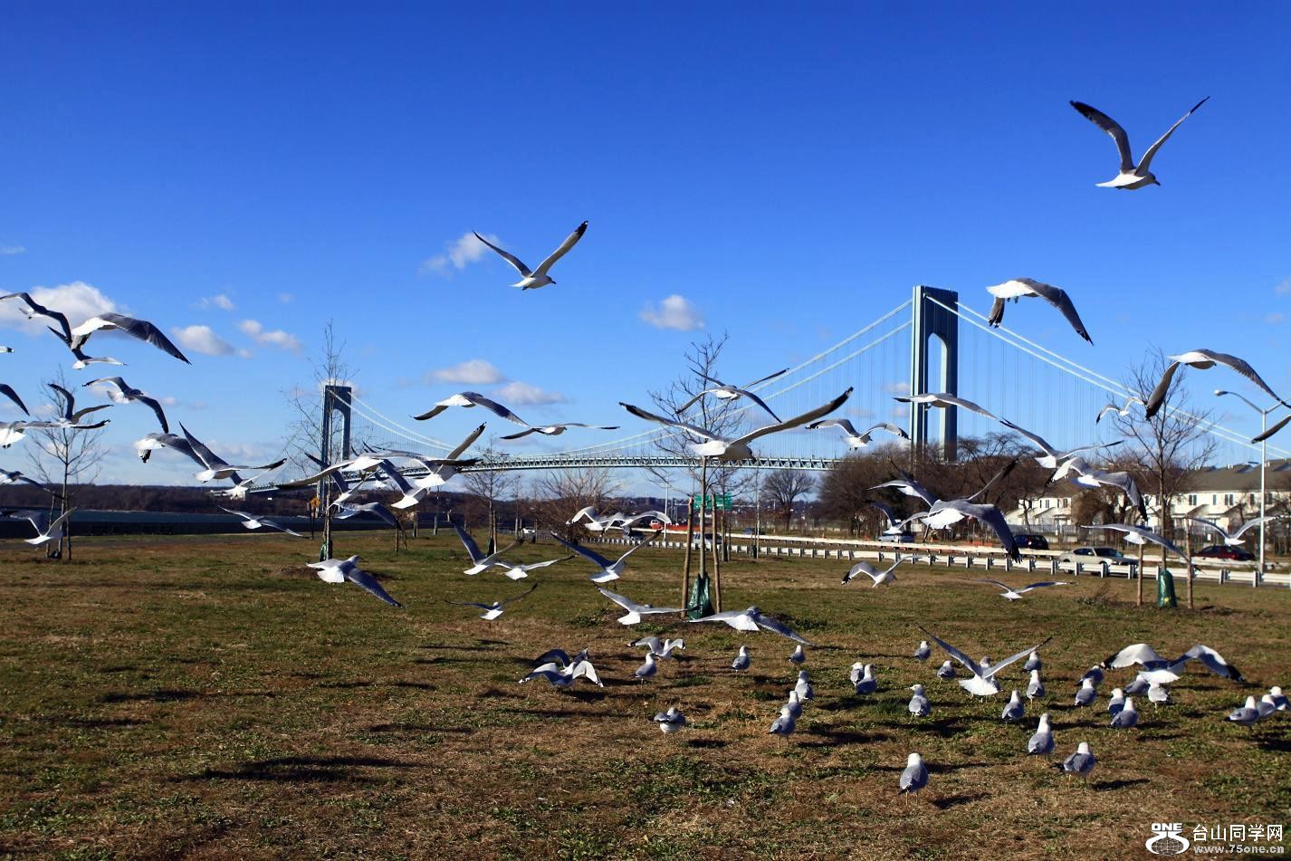 �}�u -IMG_6688.jpg