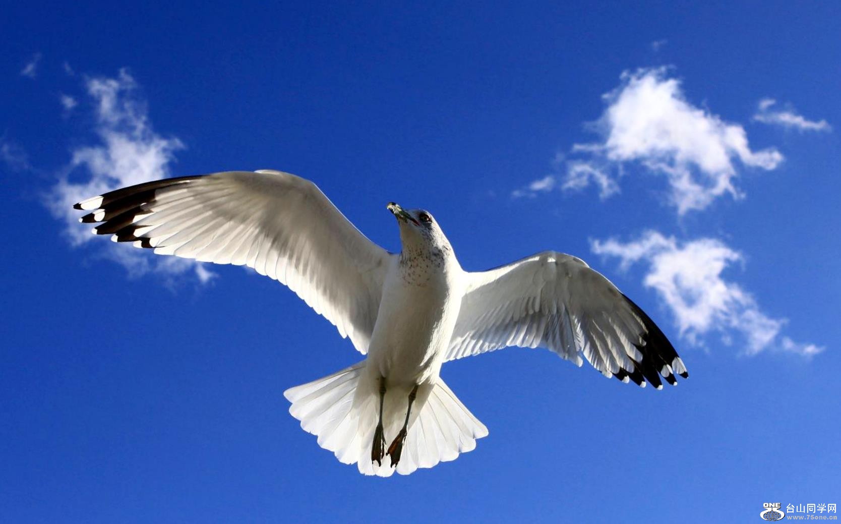 �}�u (2) -IMG_6851.jpg