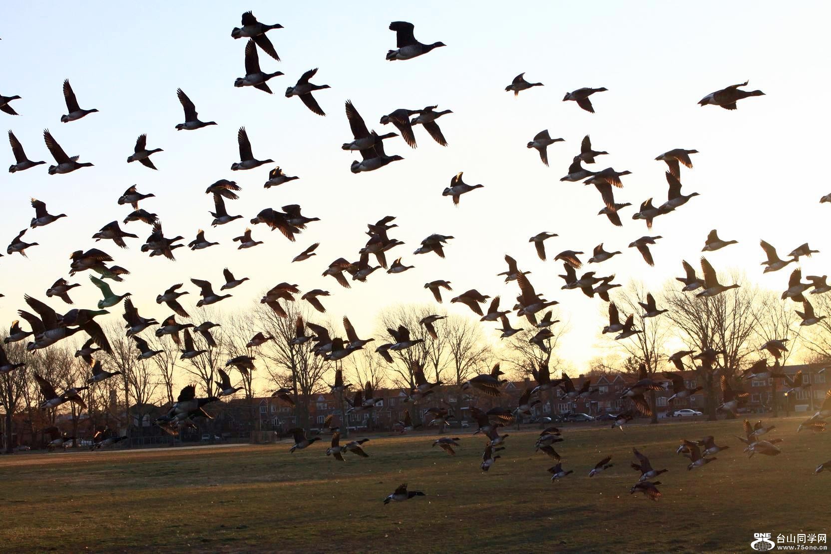 �}�u -IMG_7617.jpg