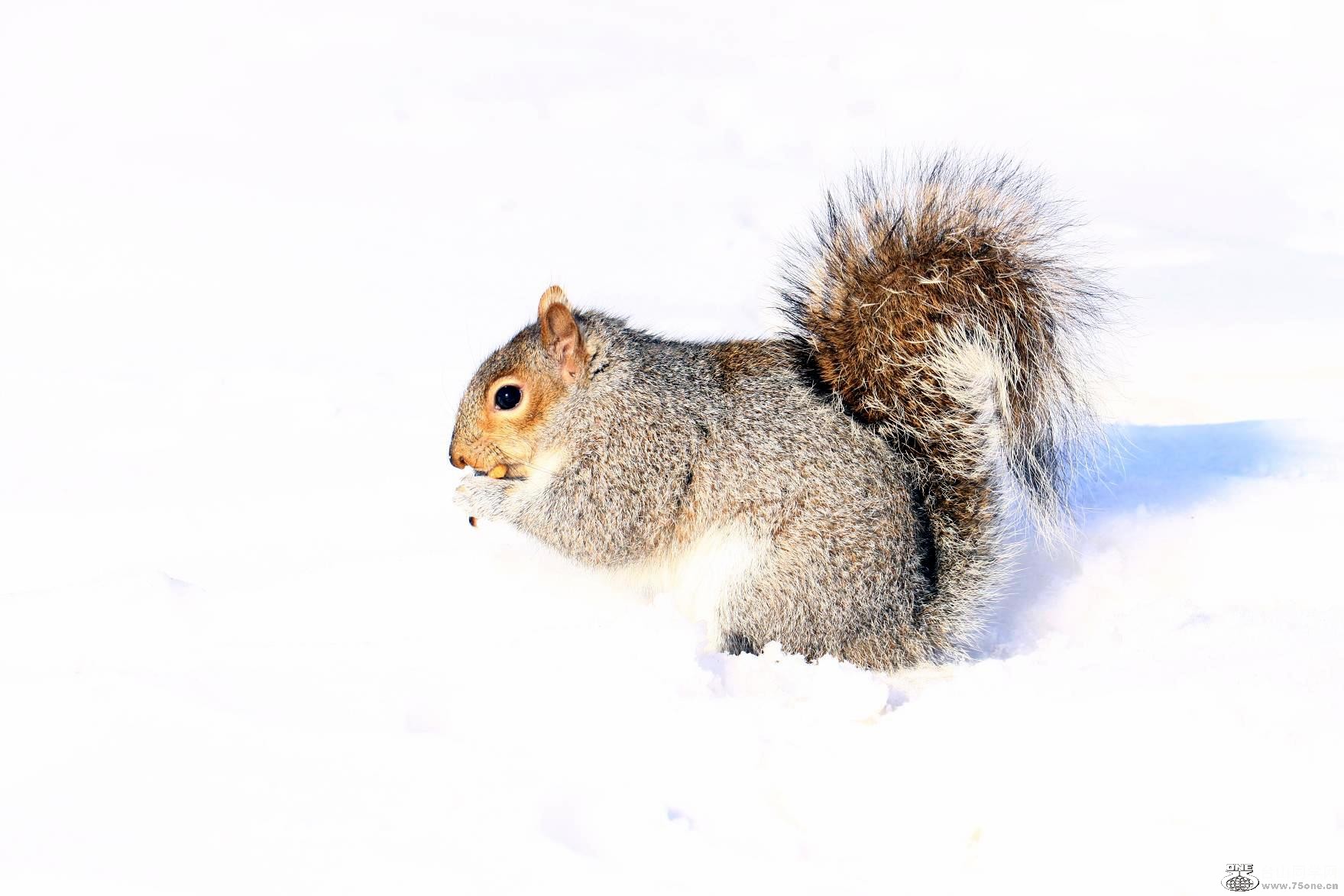 �}�u -IMG_8568.jpg