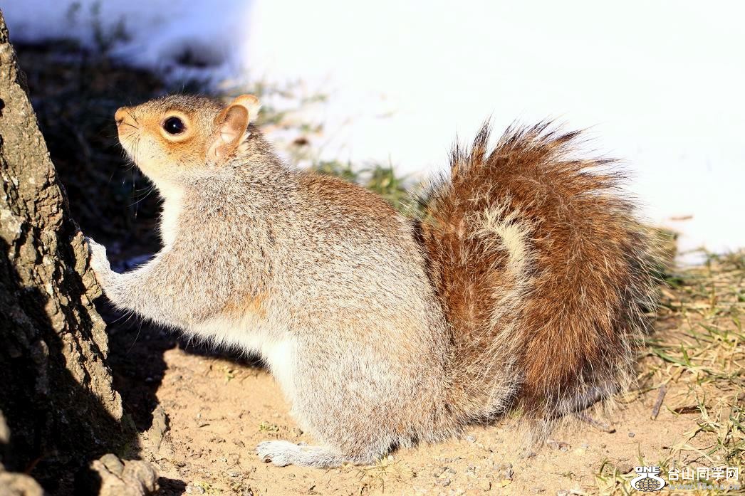 �}�u -IMG_8344.jpg