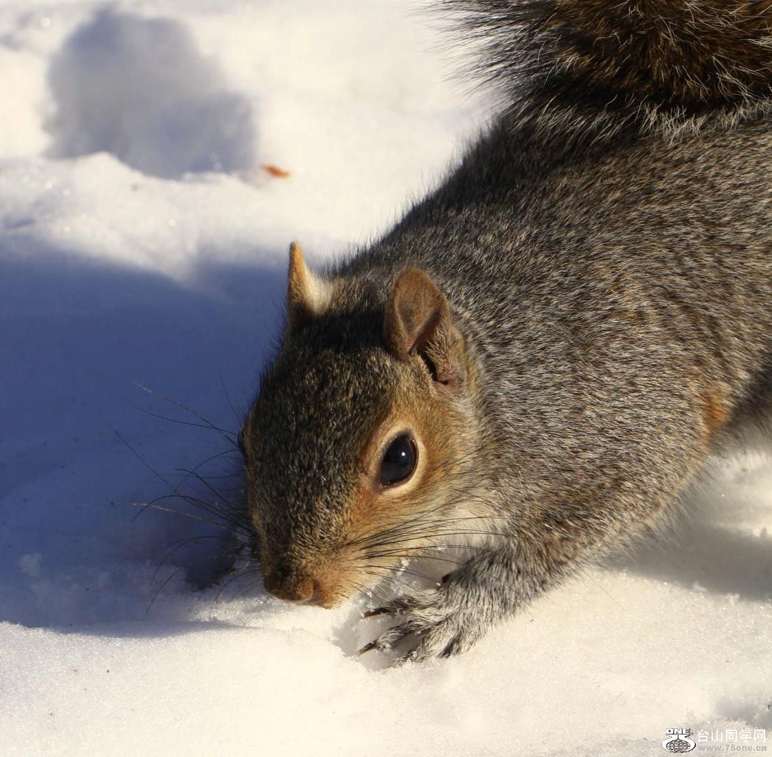 �}�u -IMG_8496.jpg