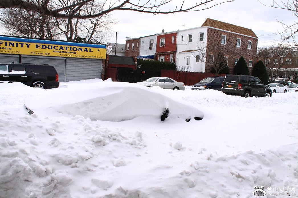 �}�u -IMG_8106.jpg