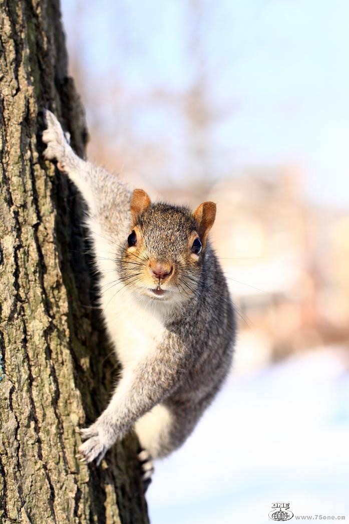 �}�u -IMG_8339.jpg