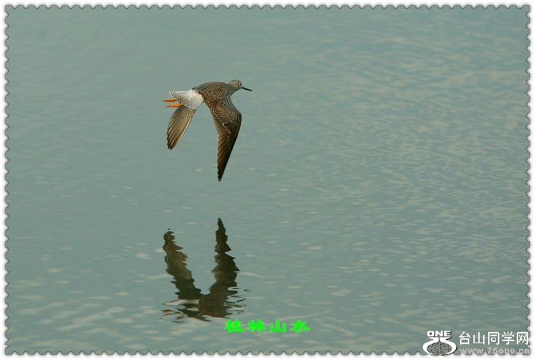 IMG_3456.jpg