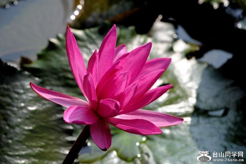 2_1897_7630b71163800ce.jpg