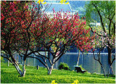 200531817561571055.gif