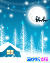 20081210184952837.gif