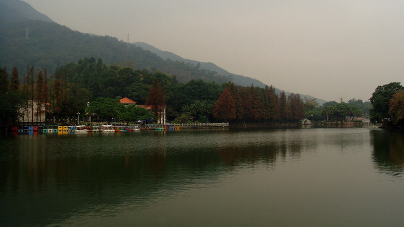 DSC01081.jpg