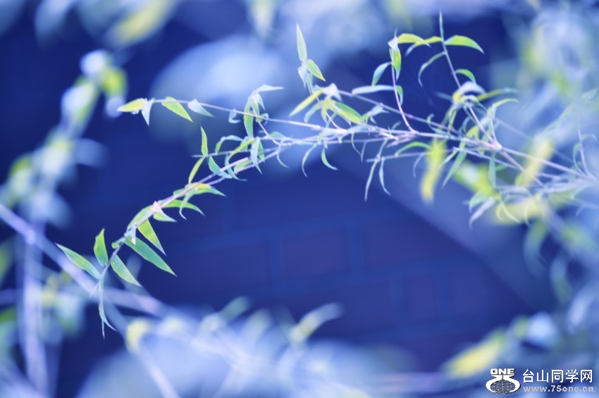 CSC_1130 [1600x1200] (2).jpg