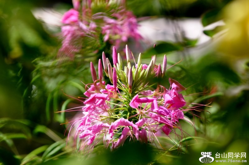 DSC_1330 [800x600].jpg