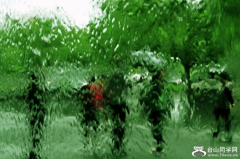 _CSC1123 [800x600].jpg