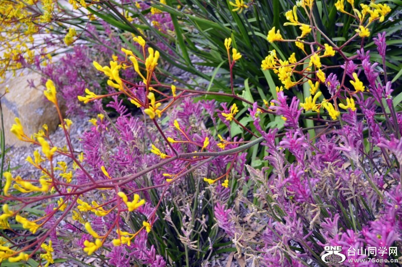 _CSC2743 [800x600].jpg