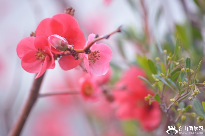 CSC_1112 [1600x1200].jpg