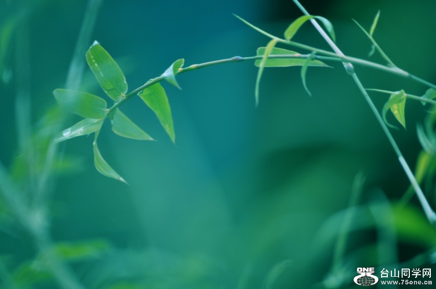 CSC_1126 [1600x1200] (2).jpg