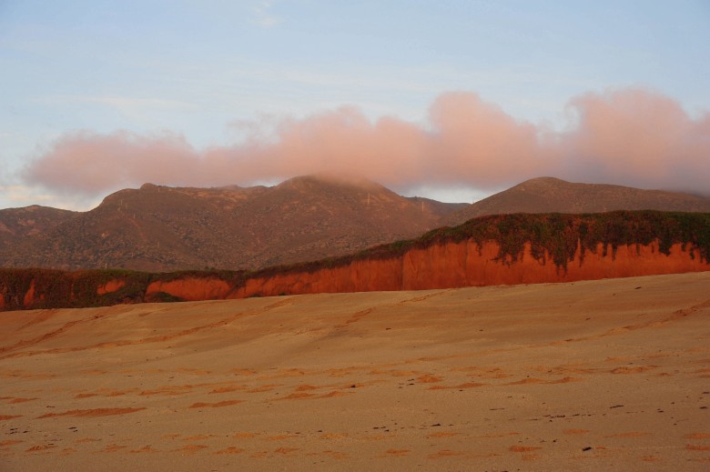 DSC_3228_conew1.jpg