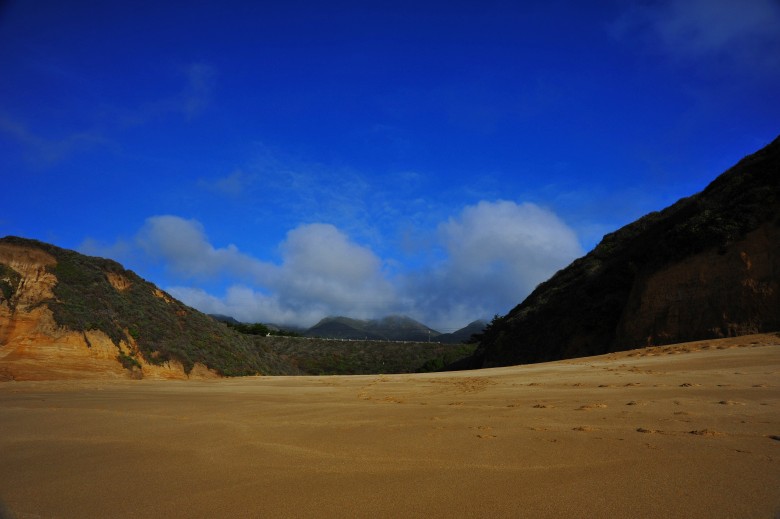 DSC_3179_conew1.jpg