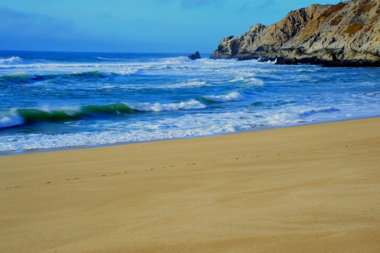 DSC_3181_conew1.jpg