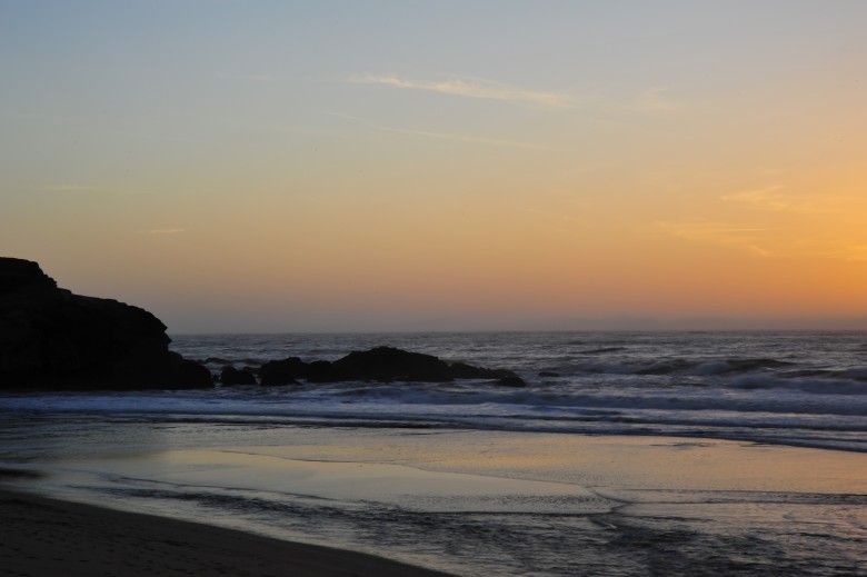 DSC_3233_conew1.jpg