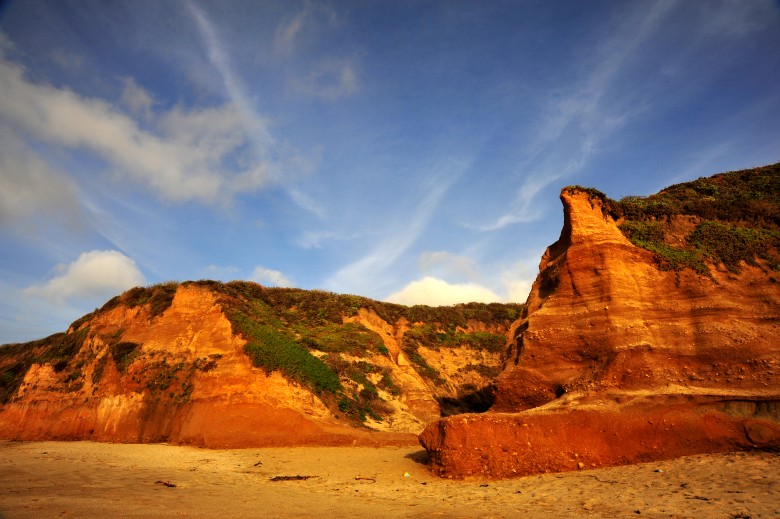 DSC_3206_conew1.jpg