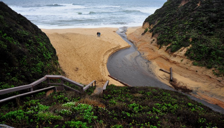 DSC_3406_conew1.jpg