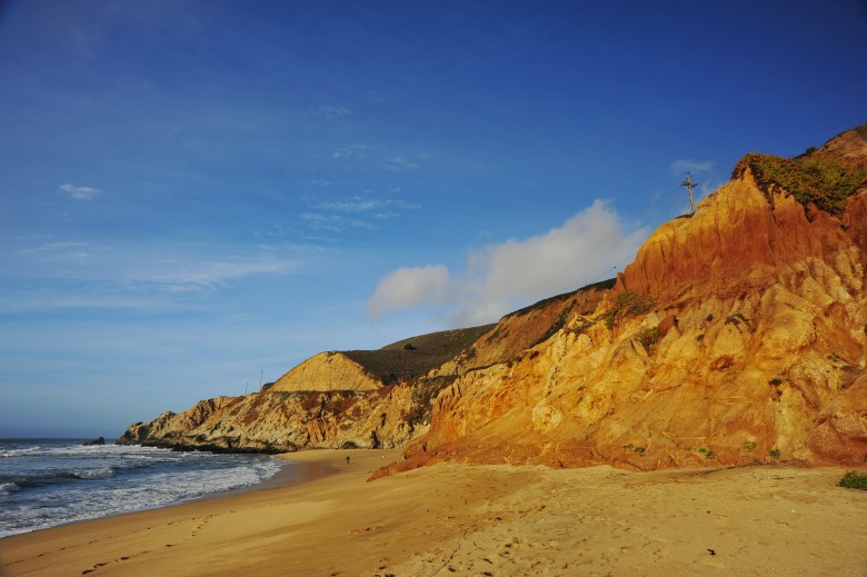 DSC_3184_conew1.jpg