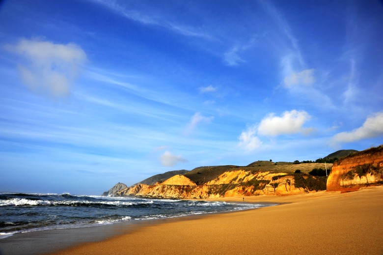 DSC_3202_conew1.jpg