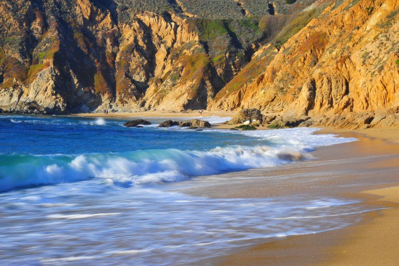 DSC_3319_conew1.jpg