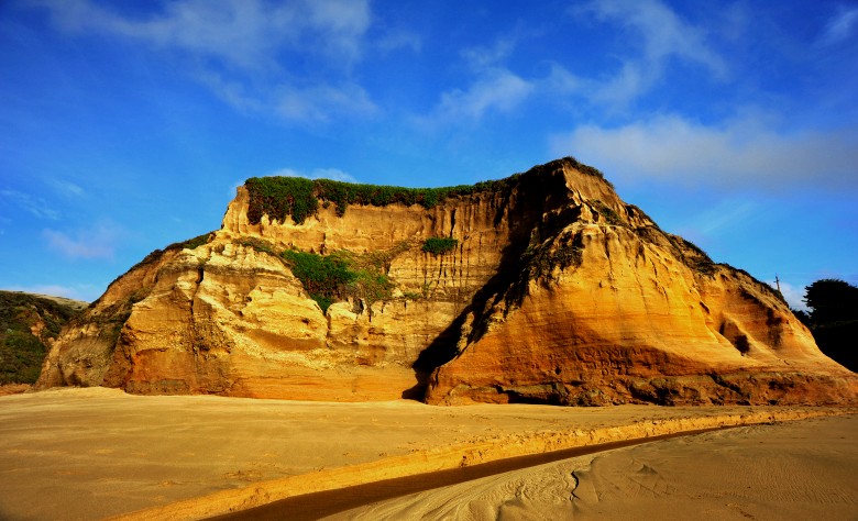 DSC_3188_conew1.jpg