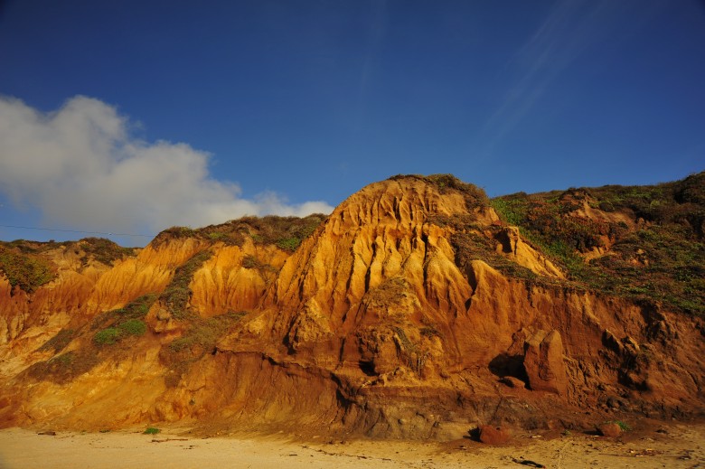 DSC_3182_conew1.jpg