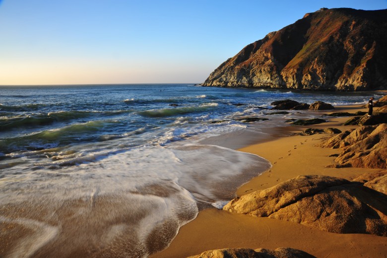 DSC_3345_conew1.jpg