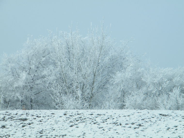 a68.JPG
