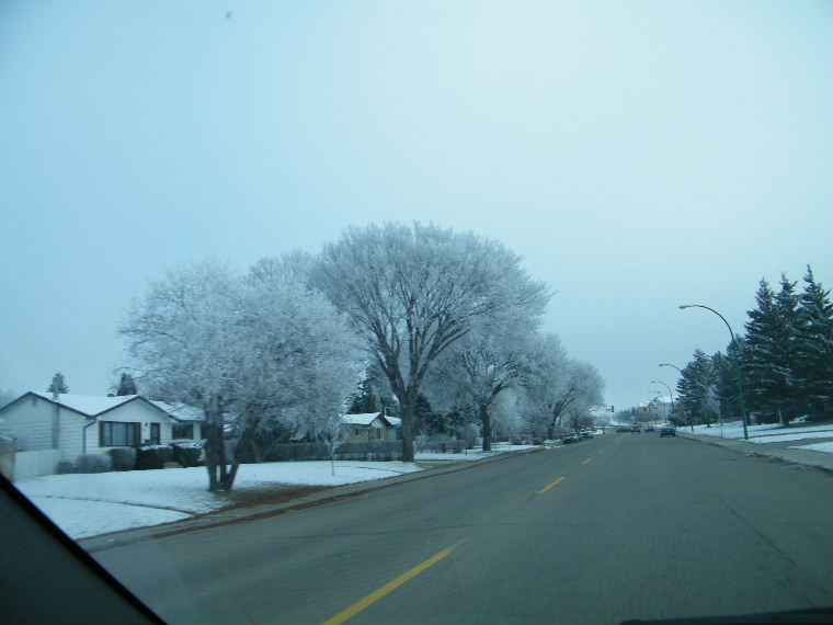 a65.JPG