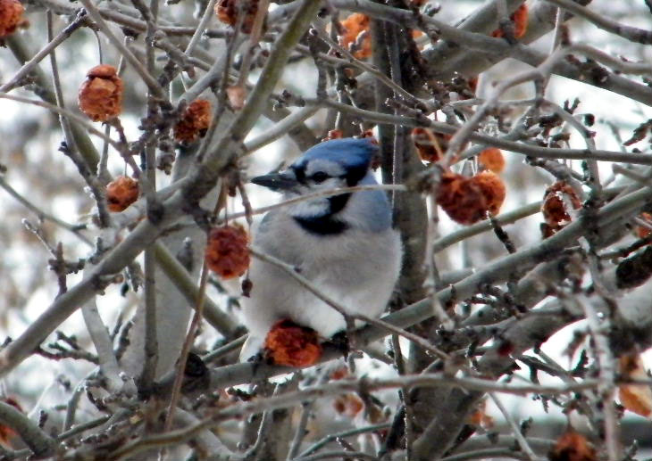 DSCF5476=.jpg