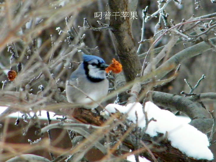 DSCF5473=.jpg