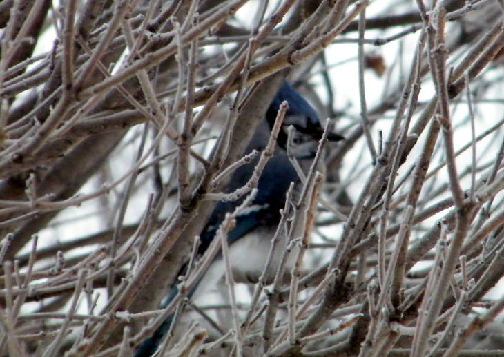 DSCF5458.JPG