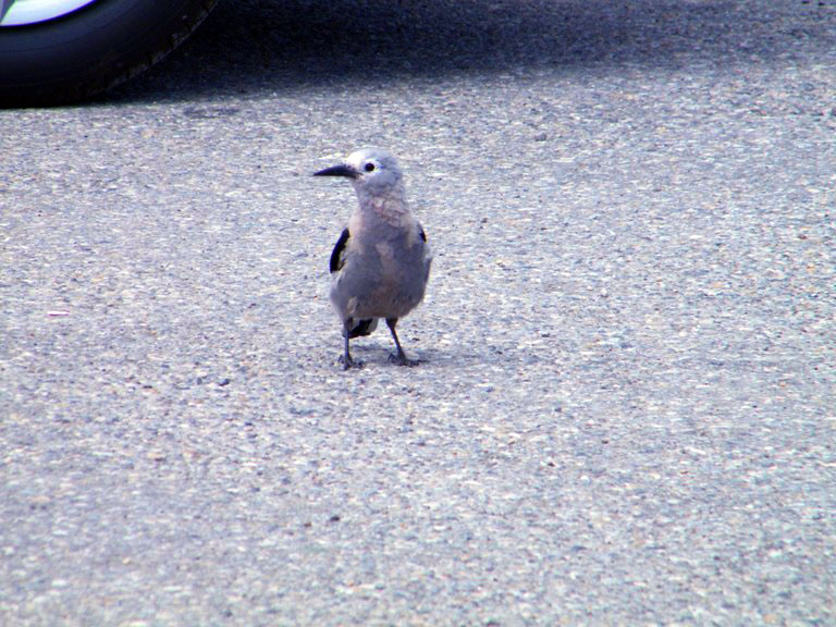 DSCF0494.jpg