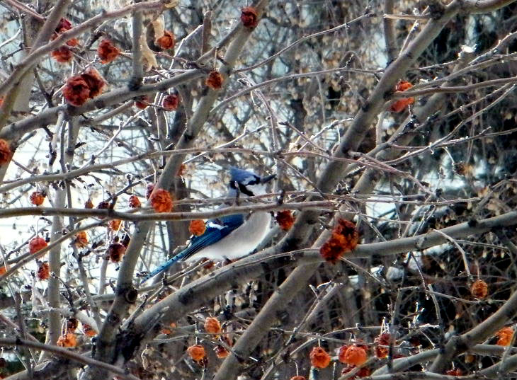 DSCF5470=.jpg