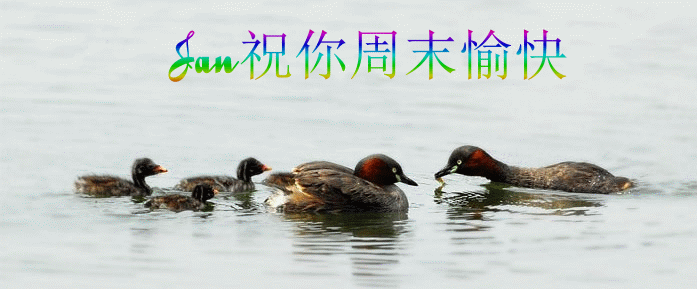 2211.gif