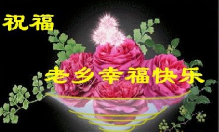 0_4282_bc6f36e644ae46d.jpg