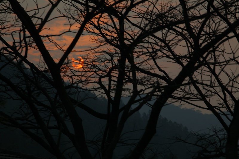 IMG_4883.JPG