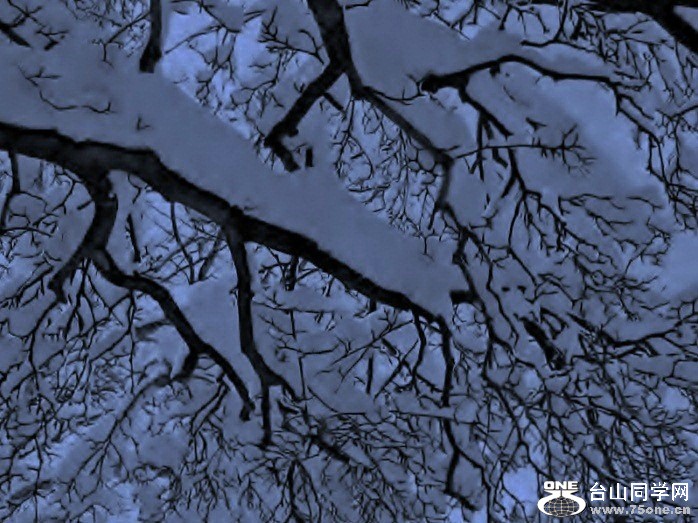 01-27-2011Ů001.jpg