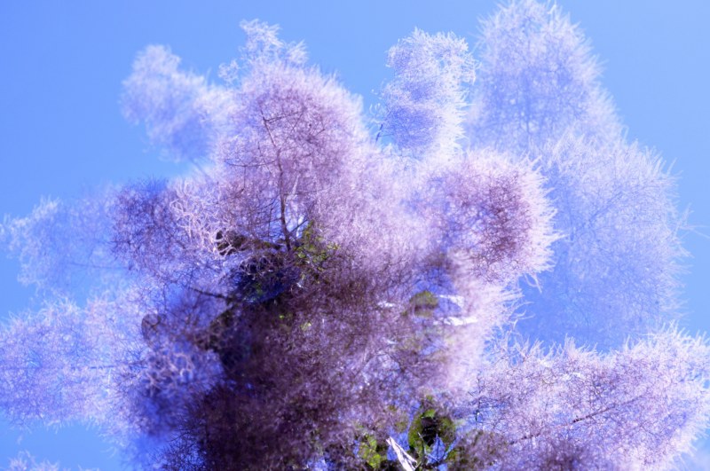 _CSC0861 [800x600].jpg