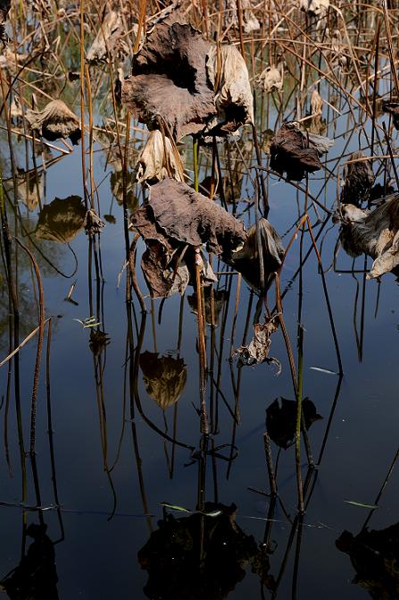 DSC_2983.JPG