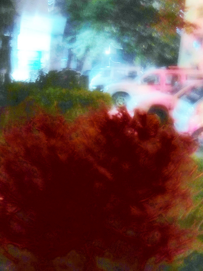 ҹ 095.jpg