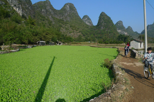 guilin.JPG