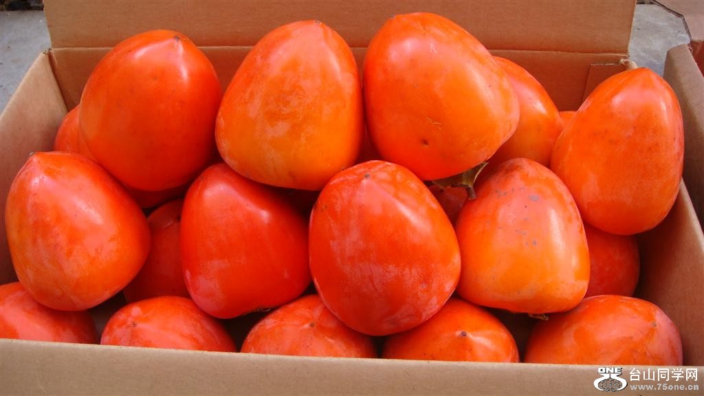 DSC05956 (Large).JPG