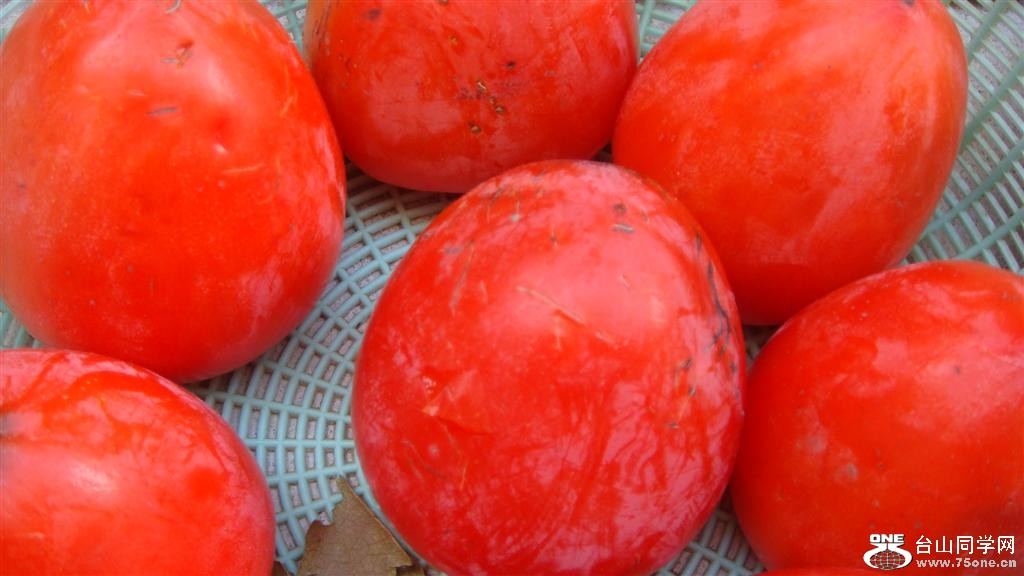 DSC05957 (Large).JPG