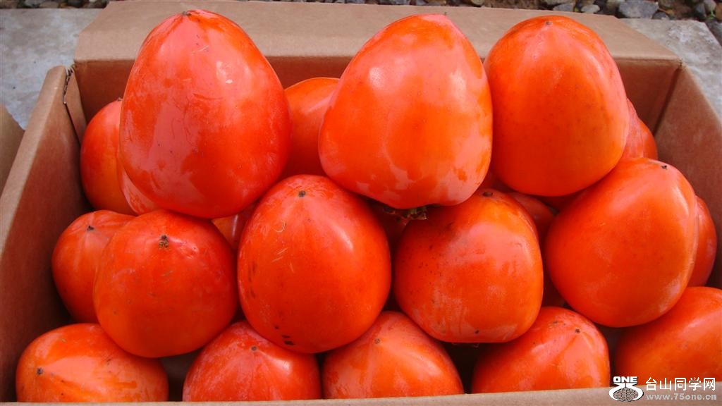 DSC05955 (Large).JPG