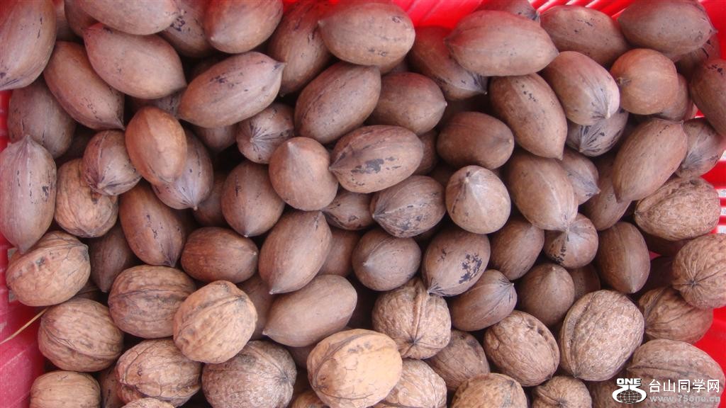 DSC05947 (Large).JPG